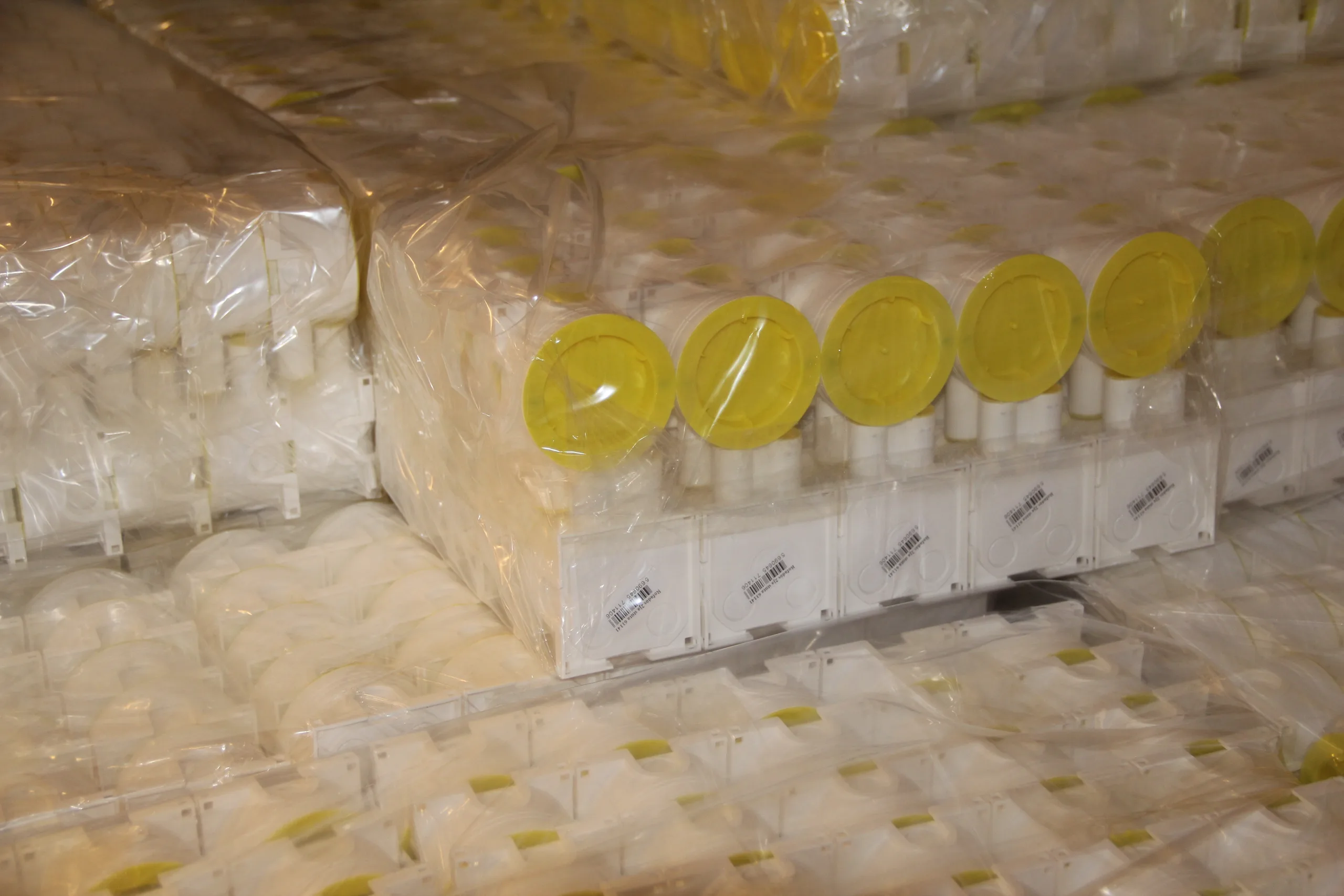 Hvítar Bjarg dósir með gulum lokum, nýkomnar úr framleiðslu og pakkaðar í plast