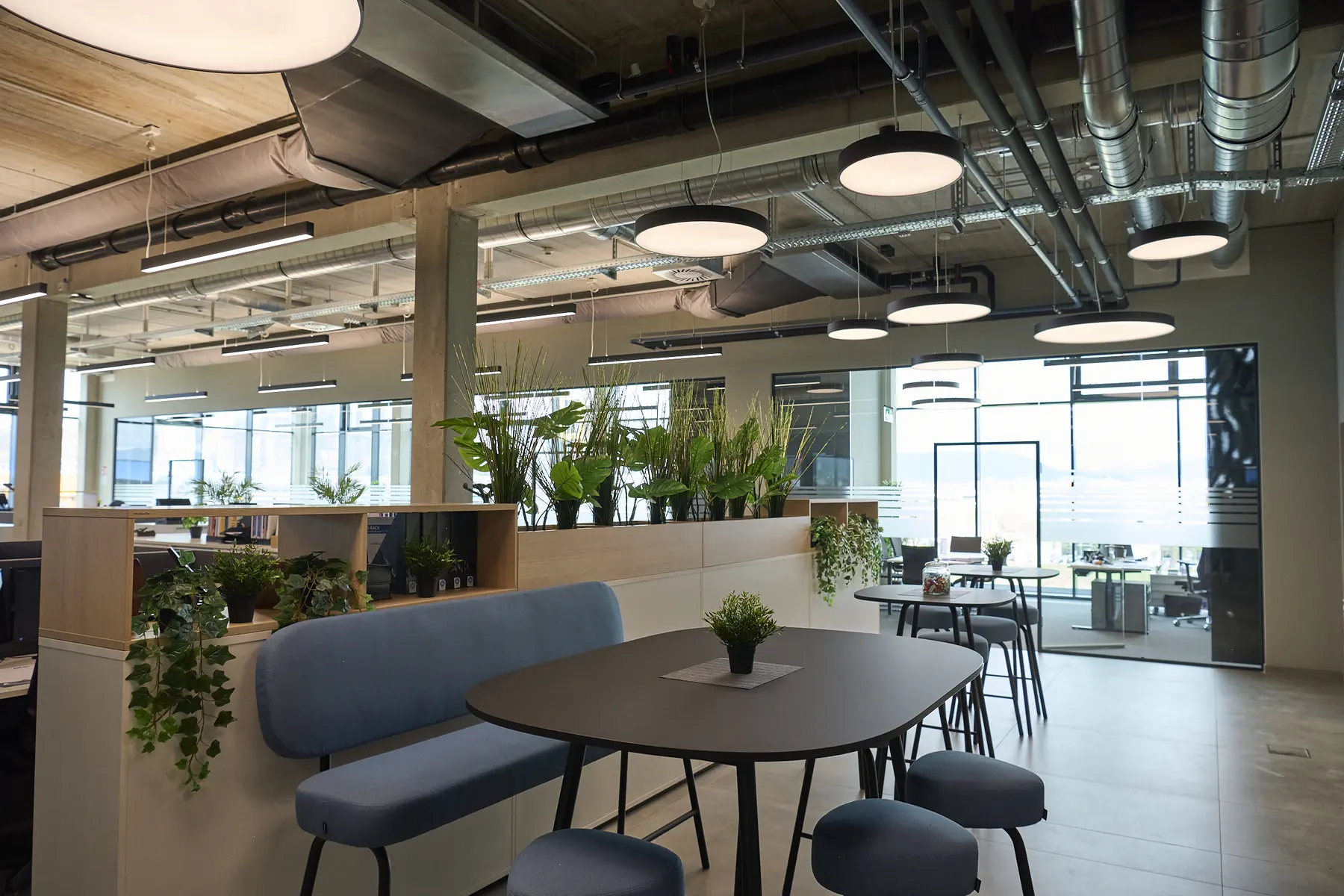 Open workspace with pendant lights over desks and plants