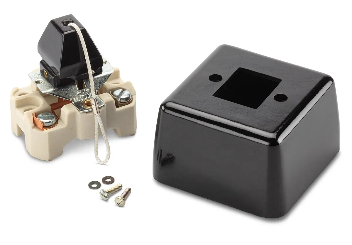 Surface mounted THPG pull switch taken apart: porcelain core, screws and black Bakelite housing